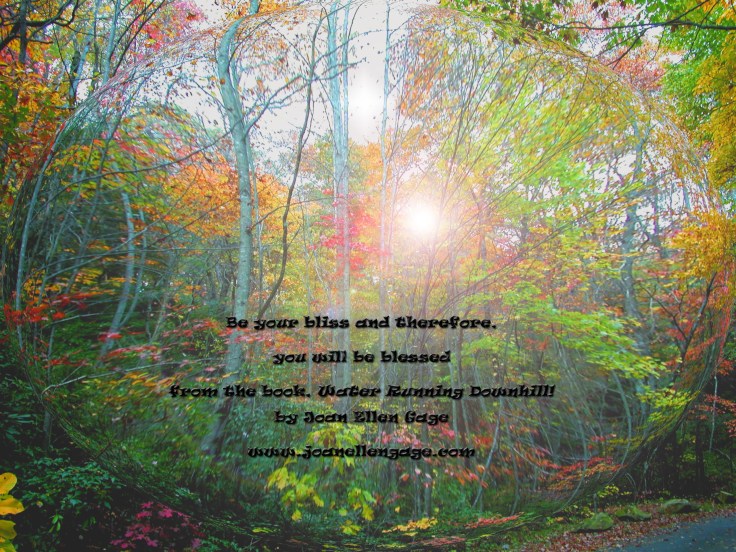 Spherical Forest Aglow Labeled