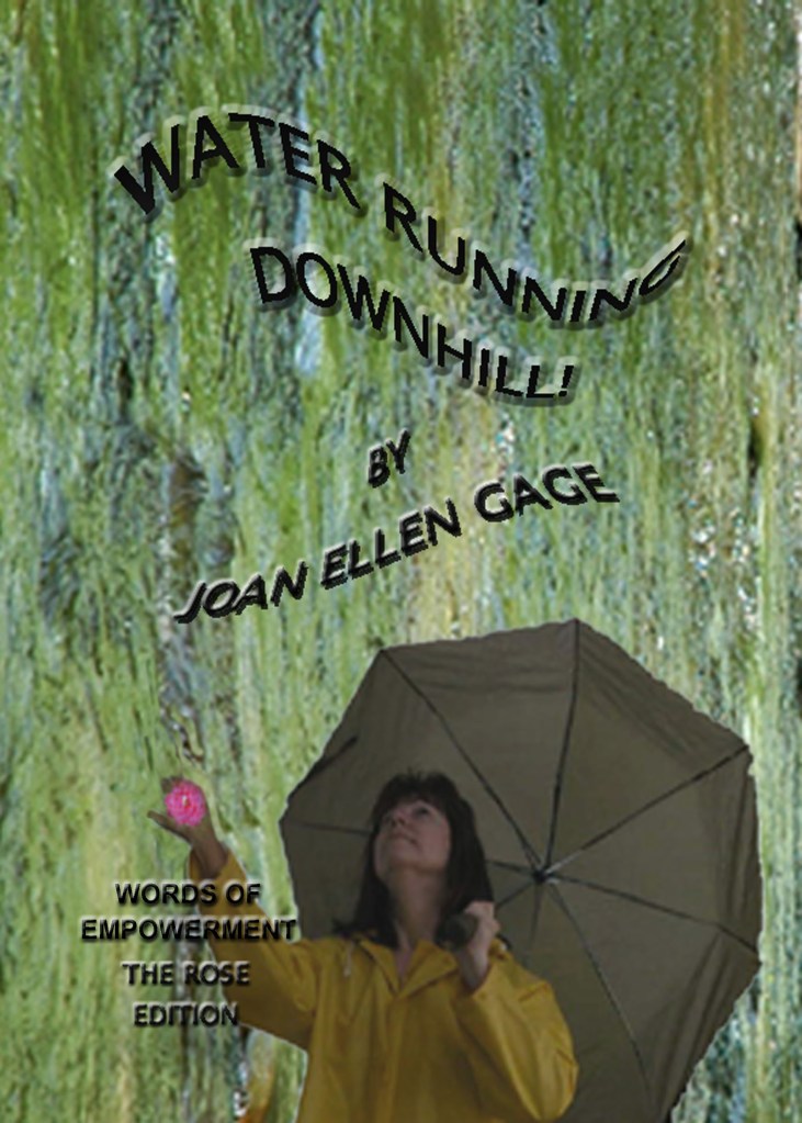 WRDH COVER CS ROSE VERSION 6 5 X 7  jpg