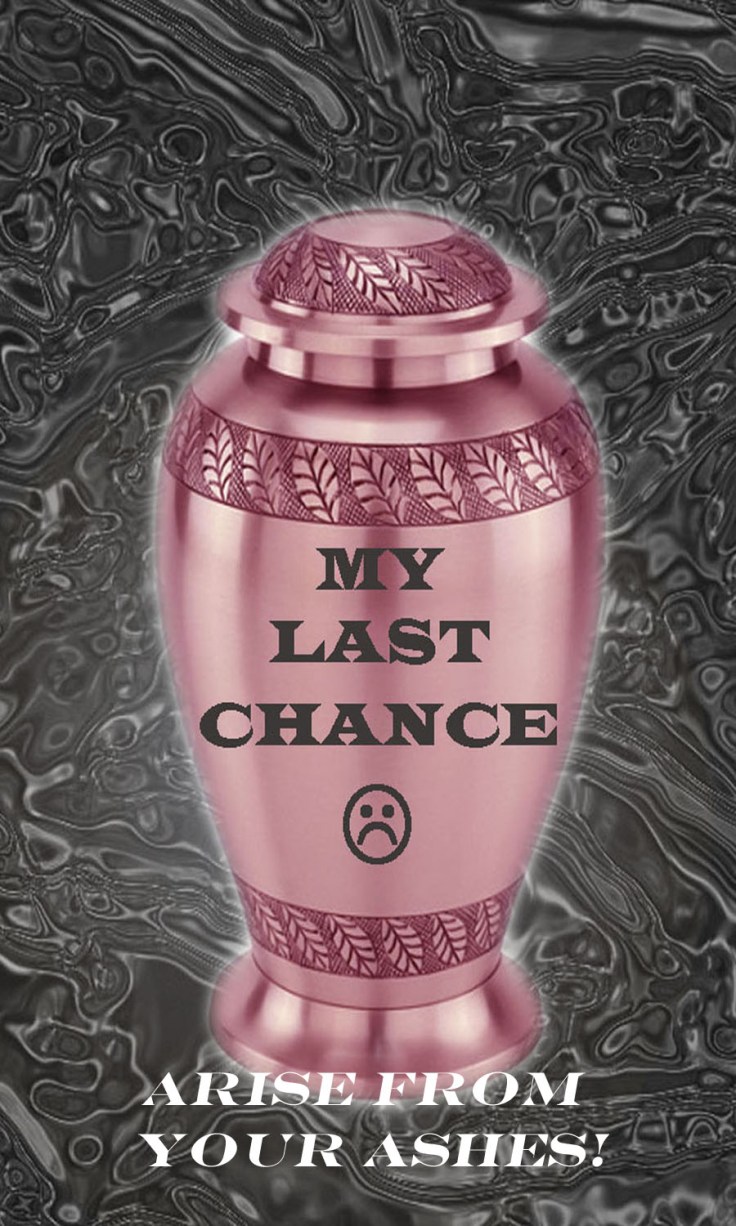 MY LAST CHANCE BEST