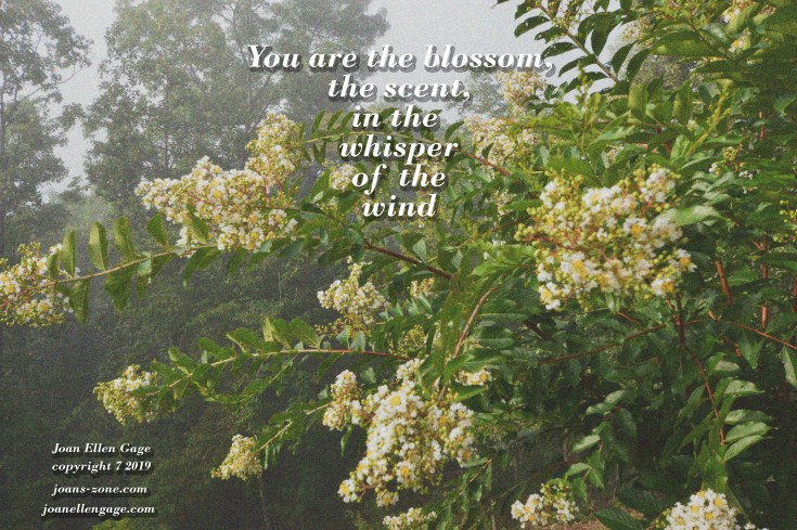 You are the blossom JEG smaller